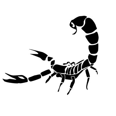 Scorpion simple scorpion on hand Fake Temporary Water Transfer Tattoo Stickers NO.10158
